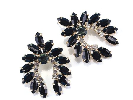 Black Crystal & Cubic Zirconia Curved Stud Earrings Fashion